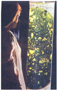 1542867022117682.png image.png