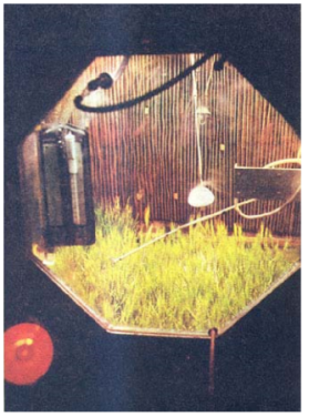 1542867027180218.png image.png