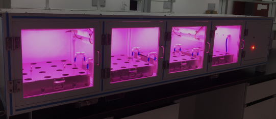 1545794642106443.png 5.png