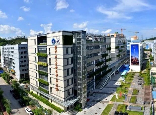 1576047643345206.jpg 10.jpg