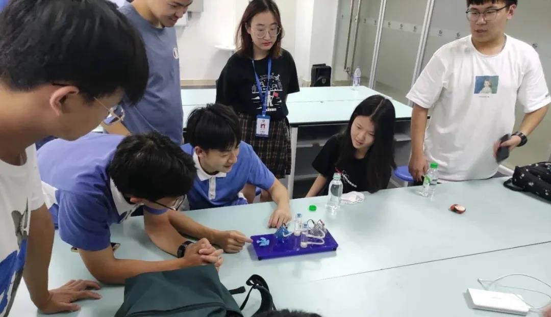 1596187943366500.jpg 2.jpg