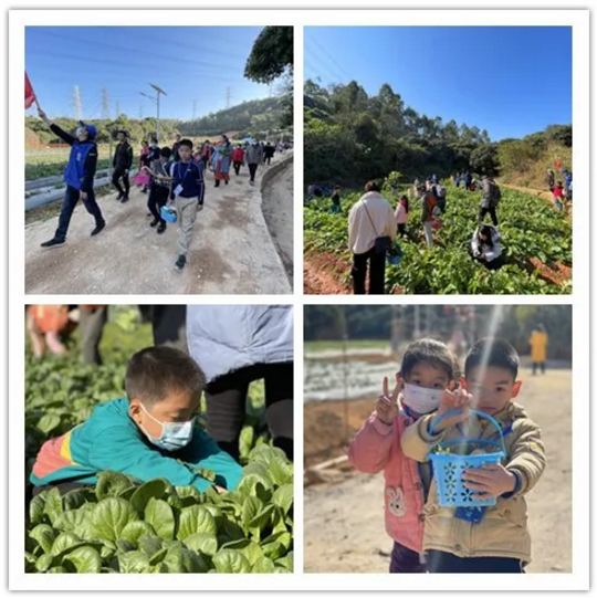 1609983806187466.png 1.png