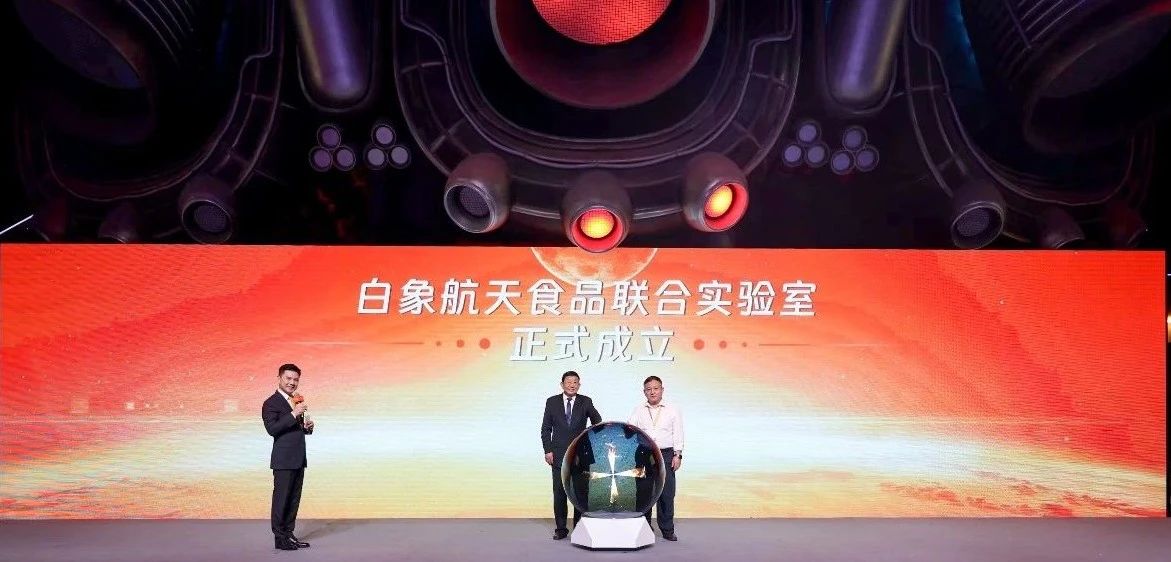 1730356885.jpg 5.jpg